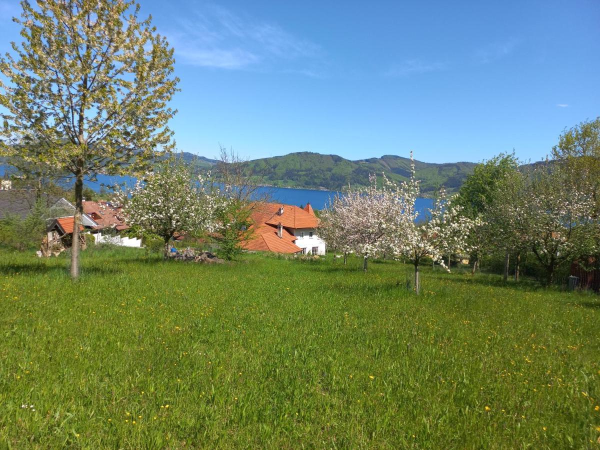 Attersee Gartenvilla Nußdorf am Attersee Zewnętrze zdjęcie